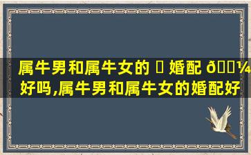 属牛男和属牛女的 ☘ 婚配 🌼 好吗,属牛男和属牛女的婚配好吗婚姻如何